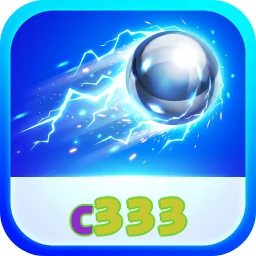 c333